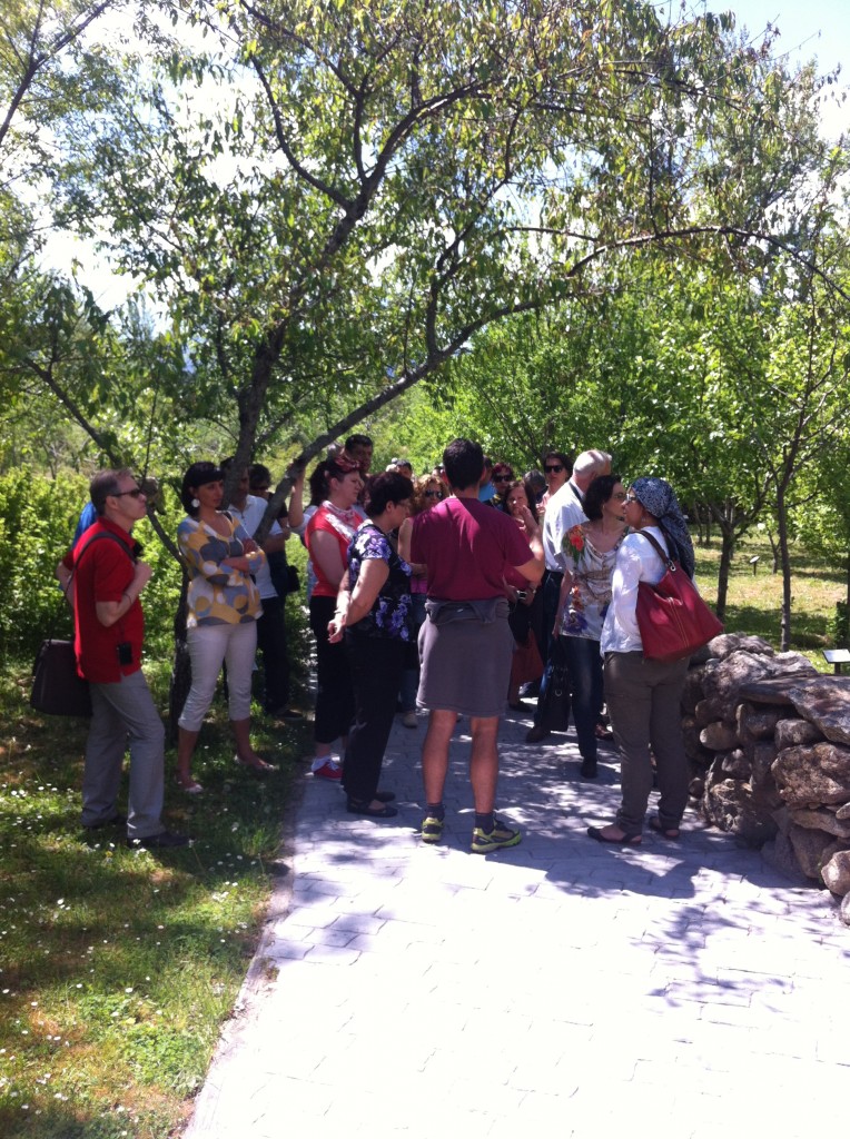 Guadarrama-National-Park11