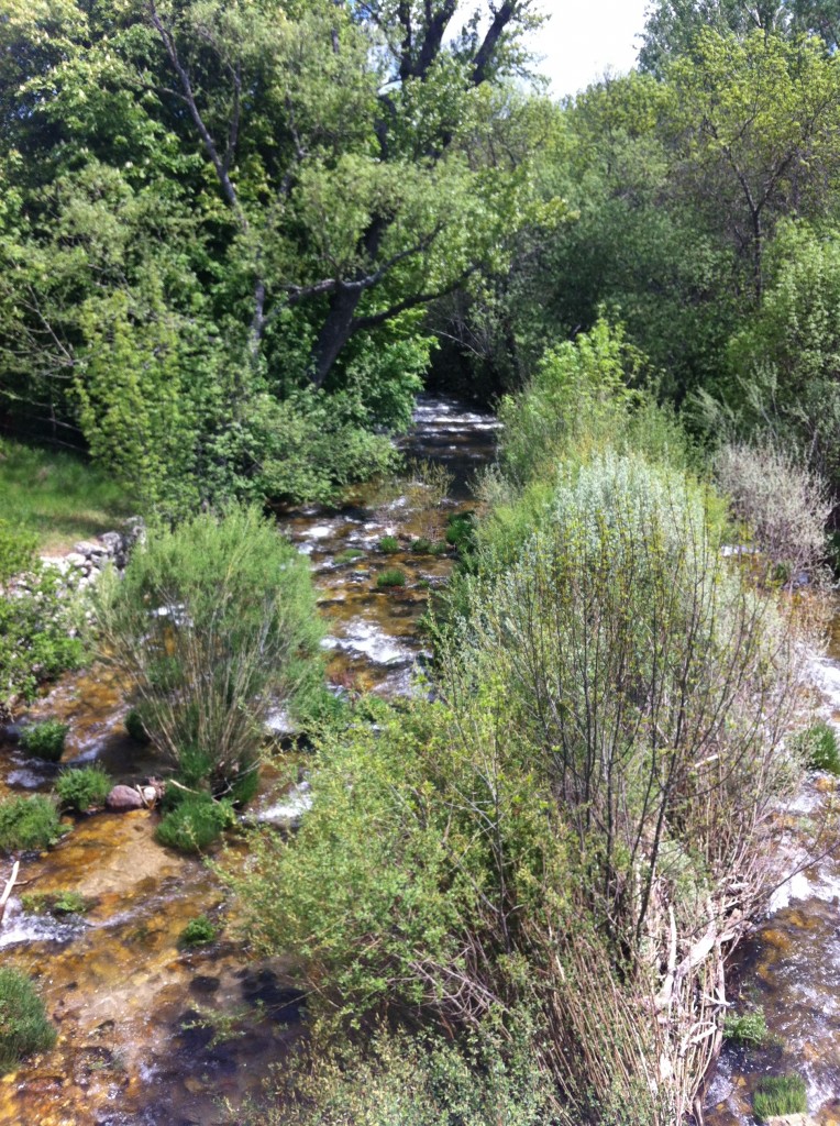 Guadarrama-National-Park2