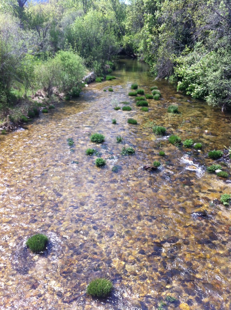 Guadarrama-National-Park3