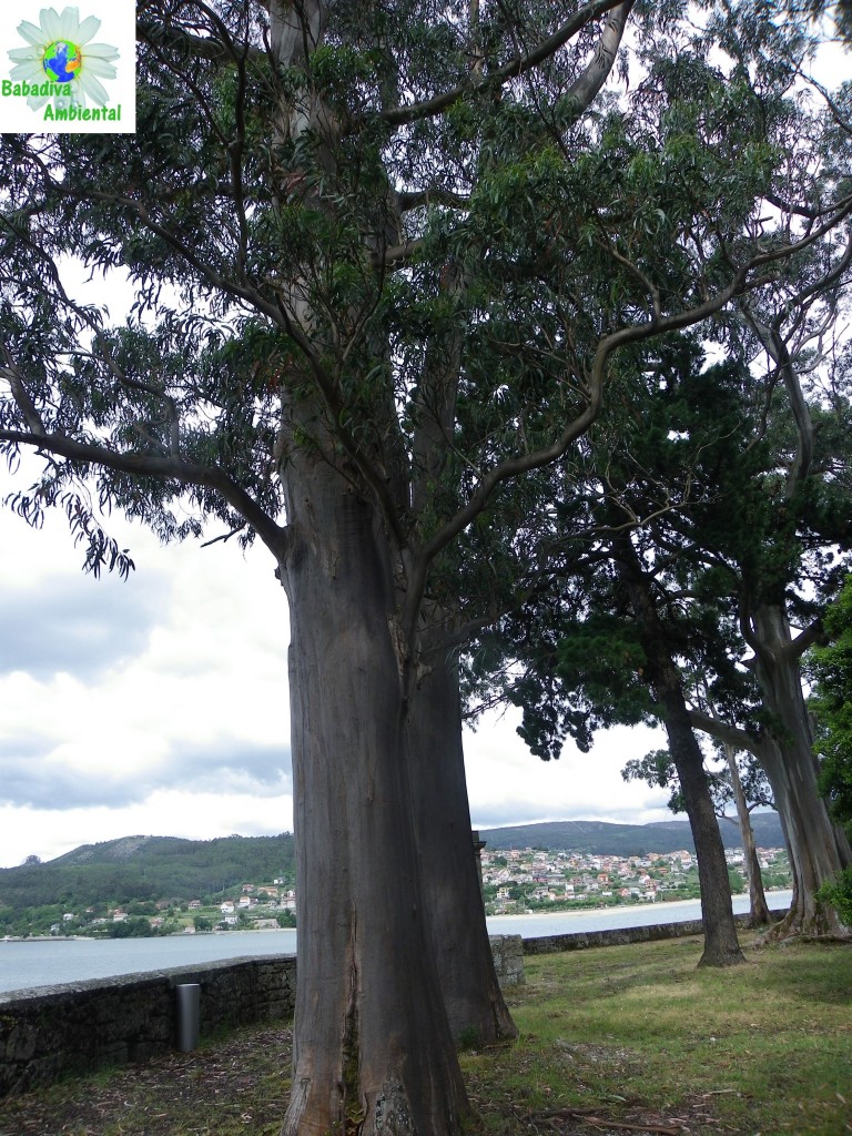 San Simón Island